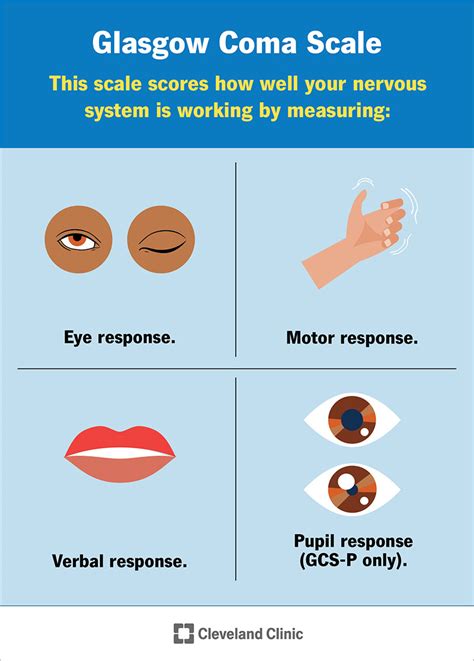 scorecoma|Glasgow Coma Scale (GCS): What It Is, Interpretation。